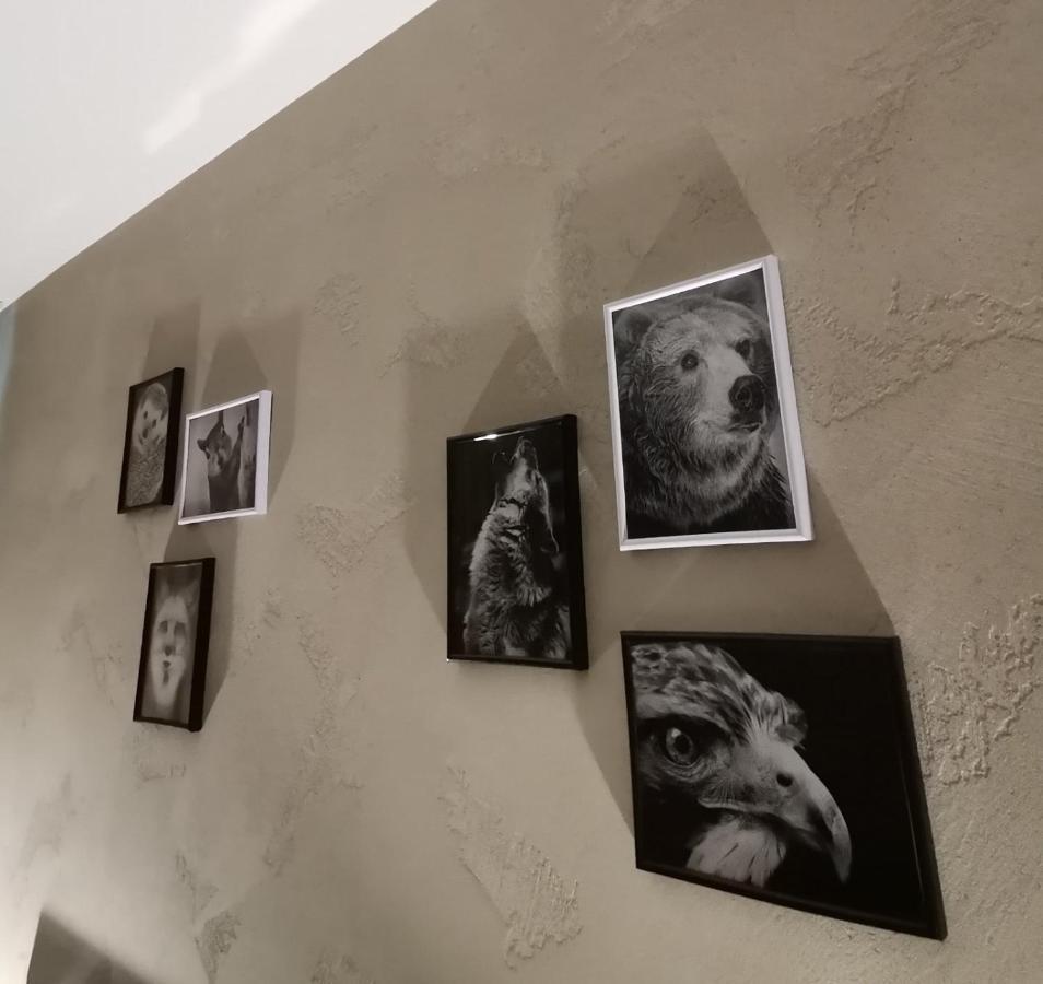 Studio A3 Borovets Gardens Екстериор снимка